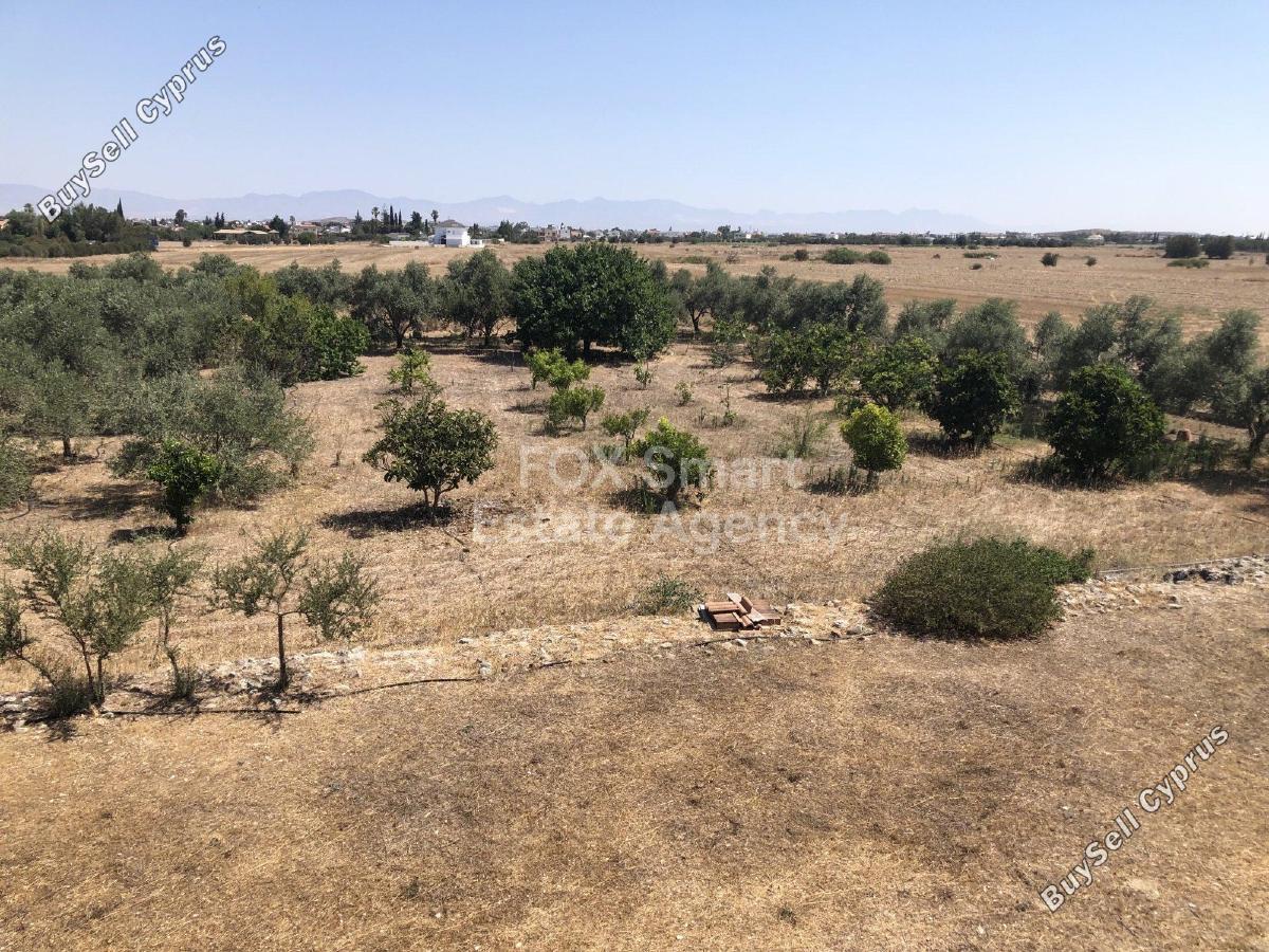 4 bedroom detached house for sale pera orinis nicosia 1521559 image 12682897