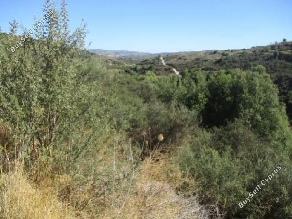 land for sale polemi paphos 826559 image 15598738