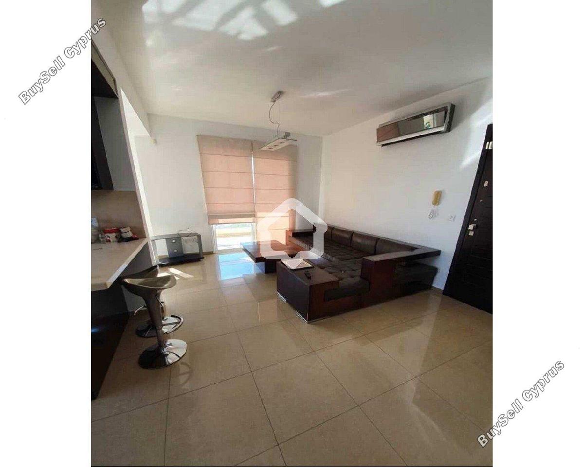 3 bedroom apartment for rent strovolos nicosia 8680659 image 16084176