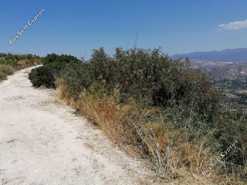 land for sale theletra paphos 824659 image 16009311