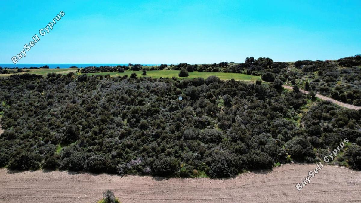 land for sale agios theodoros larnacas larnaca 957759 image 5597764