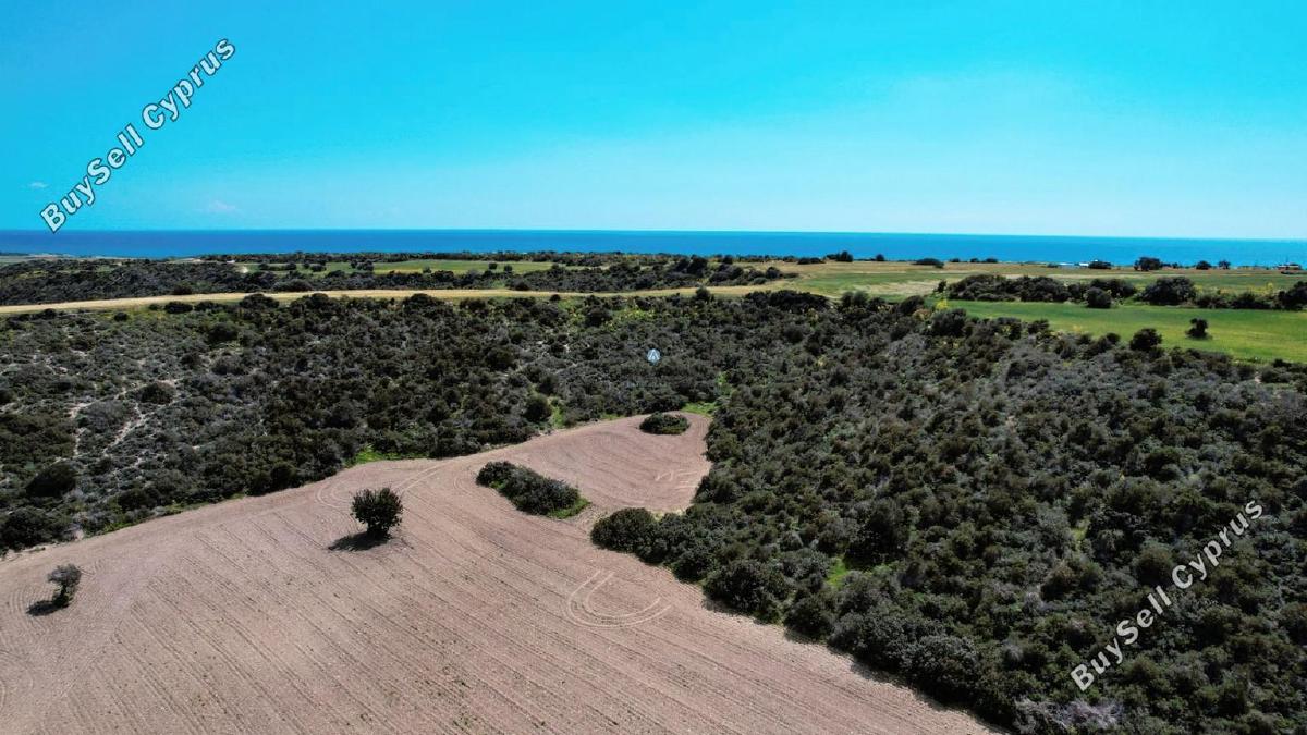 land for sale agios theodoros larnacas larnaca 957759 image 5597779