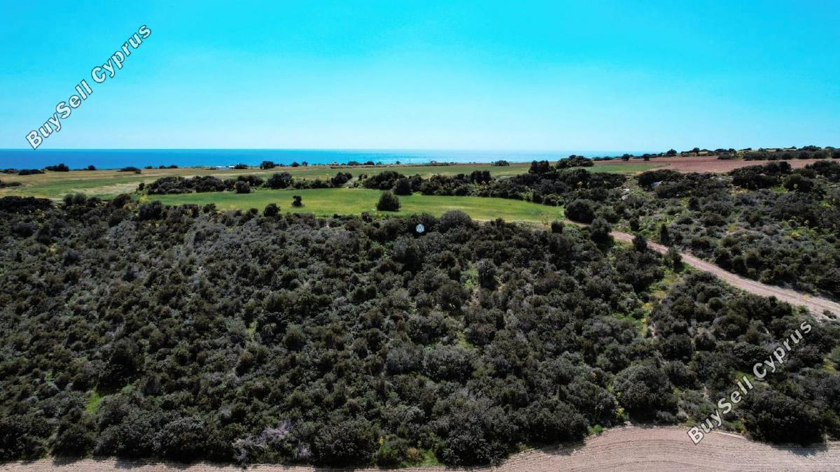 land for sale agios theodoros larnacas larnaca 957759 image 5597783
