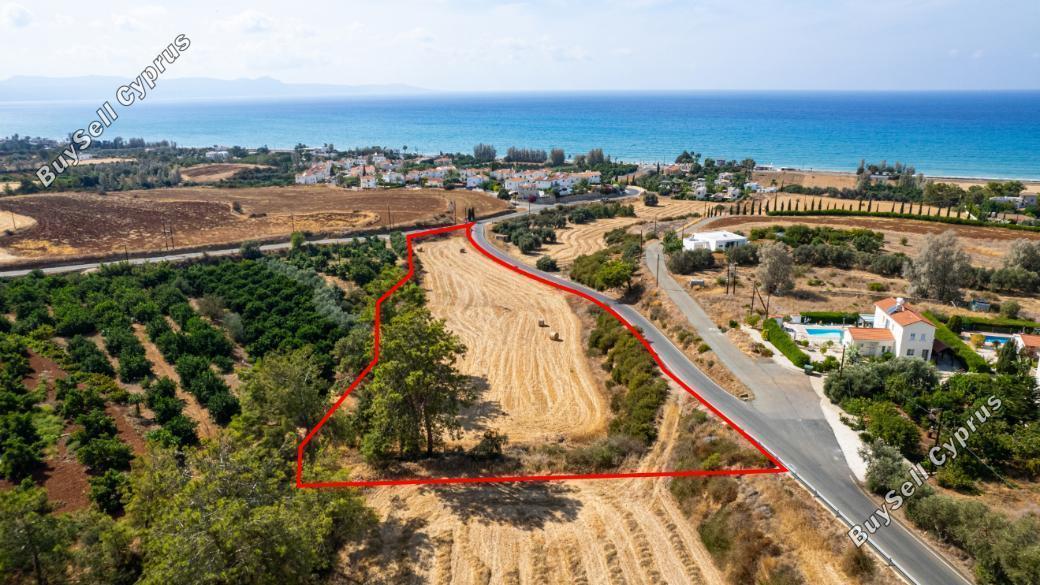 land for sale argaka paphos 873759 image 15985080
