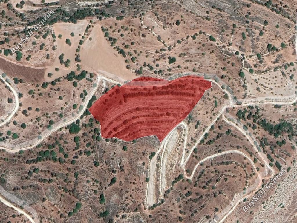 land for sale nata paphos 1020759 image 15599473