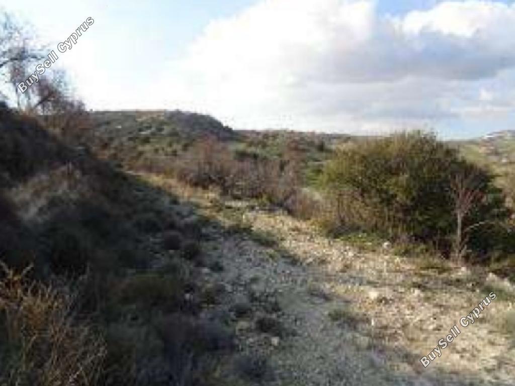 land for sale nata paphos 1020759 image 15599474