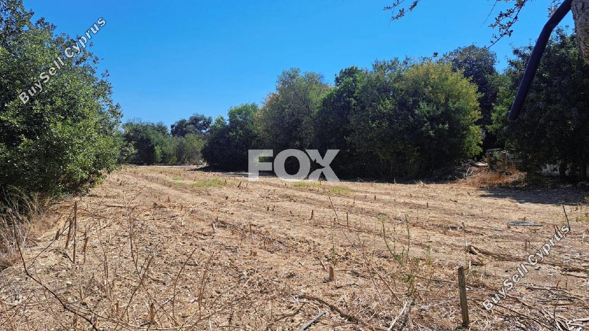 land for sale polemi paphos 1158759 image 5503074