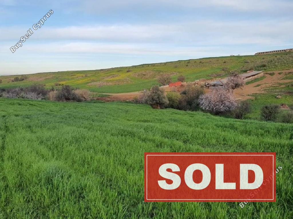 land sold orounta nicosia 945759 image 847686