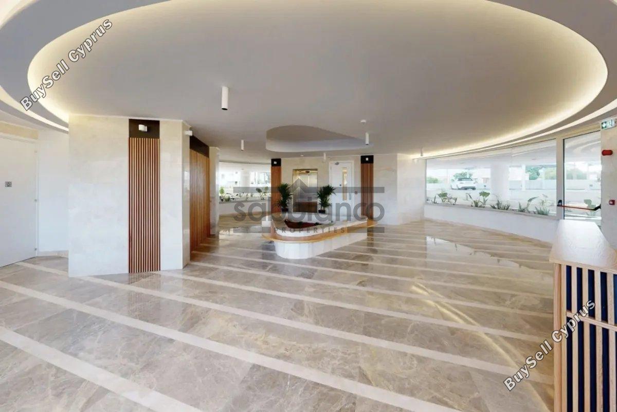 2 bedroom apartment for rent larnaca municipality larnaca 8739859 image 16375711