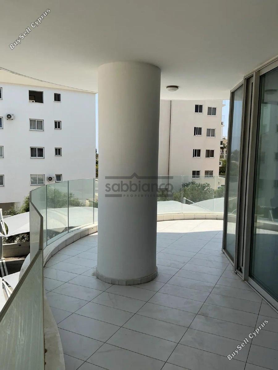 2 bedroom apartment for rent larnaca municipality larnaca 8739859 image 16375712