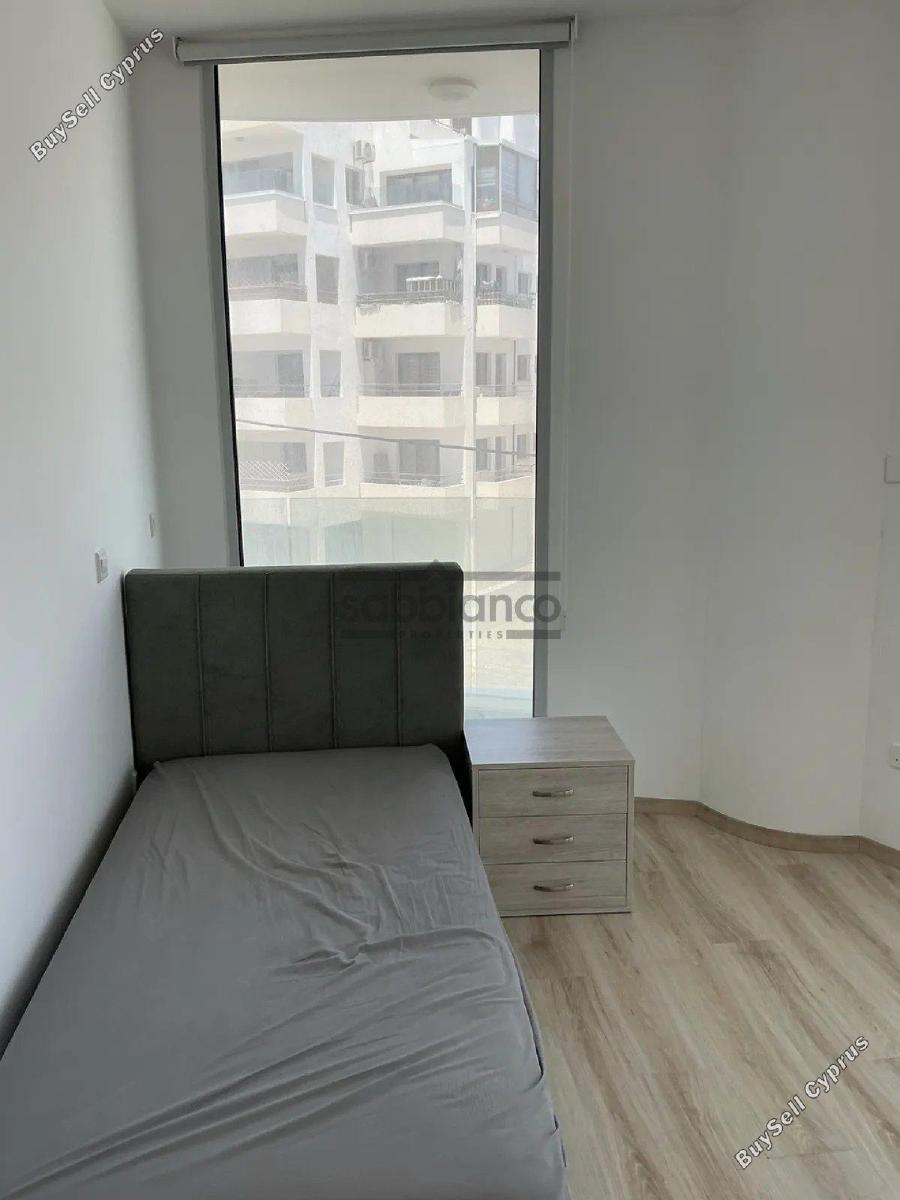 2 bedroom apartment for rent larnaca municipality larnaca 8739859 image 16375717