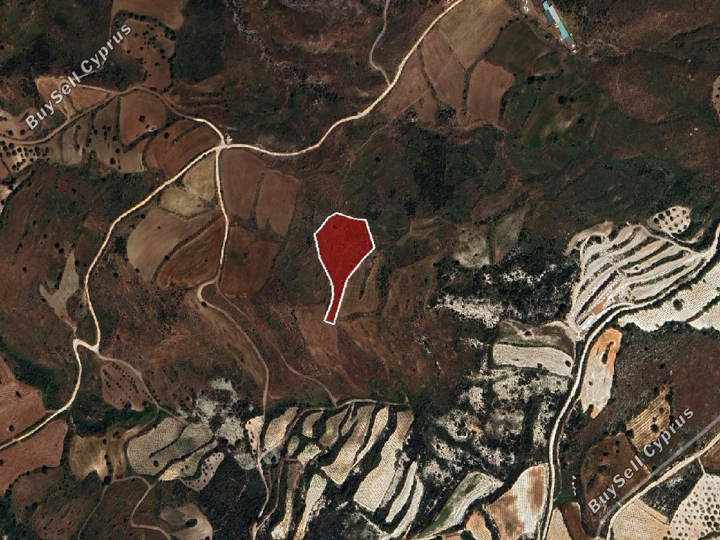 land for sale ineia paphos 1800859 image 15597813
