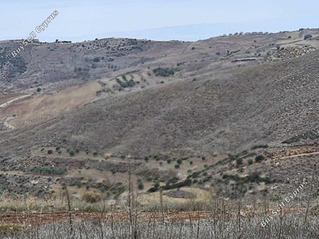 land for sale ineia paphos 1800859 image 17601259