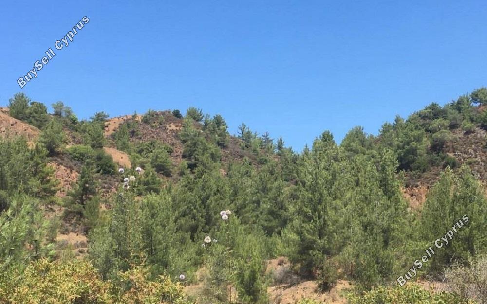 land for sale kato platres limassol 828859 image 11081626