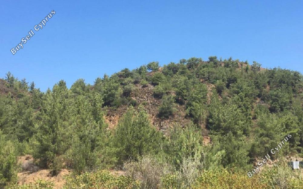 land for sale kato platres limassol 828859 image 11081627