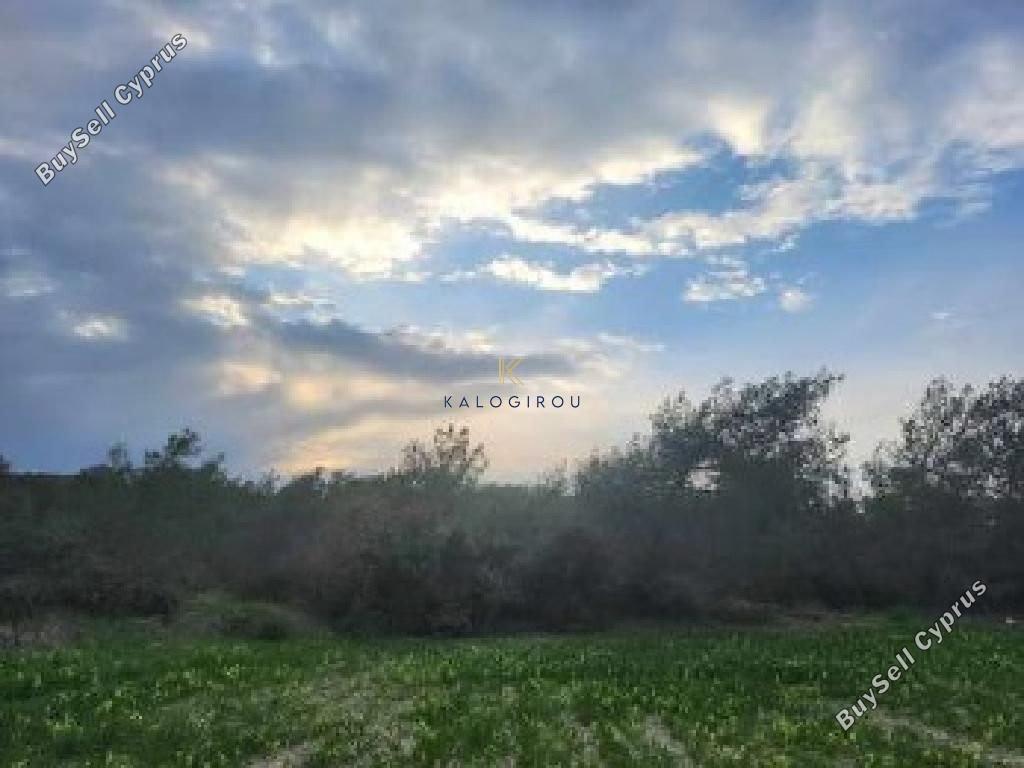 land for sale tochni larnaca 1625859 image 5707506