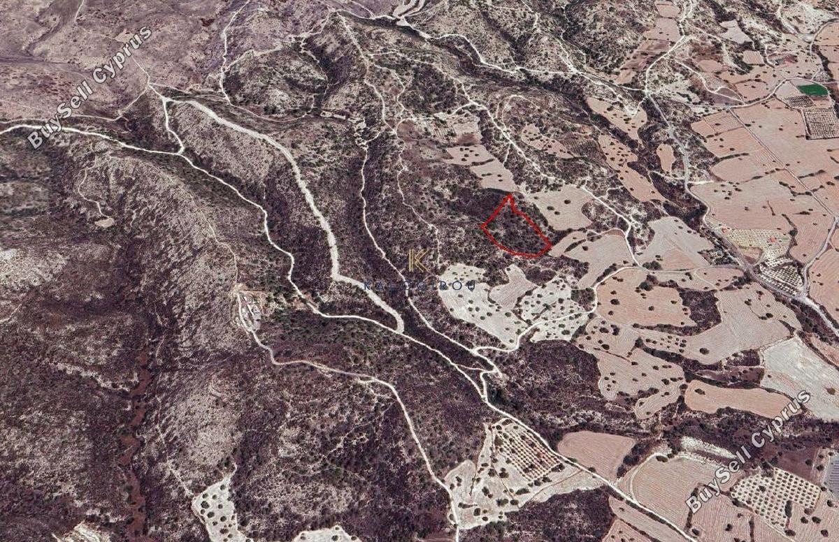 land for sale tochni larnaca 1625859 image 5707508