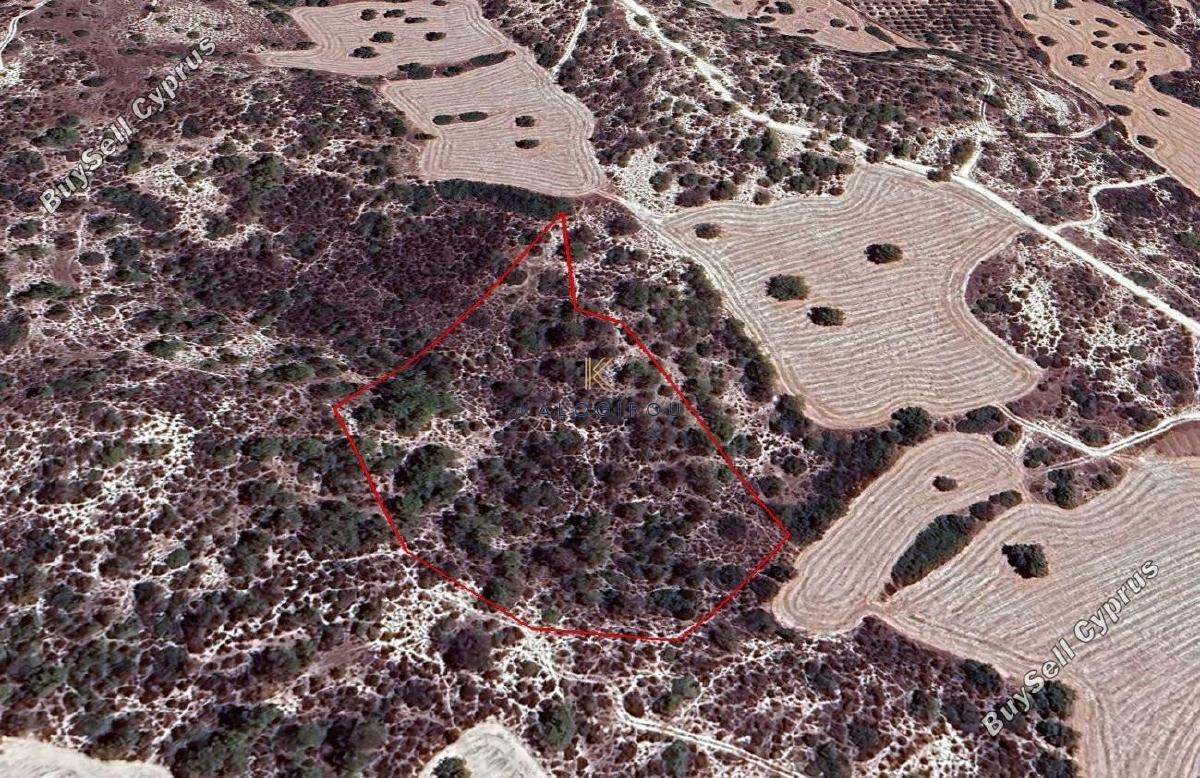land for sale tochni larnaca 1625859 image 5707509