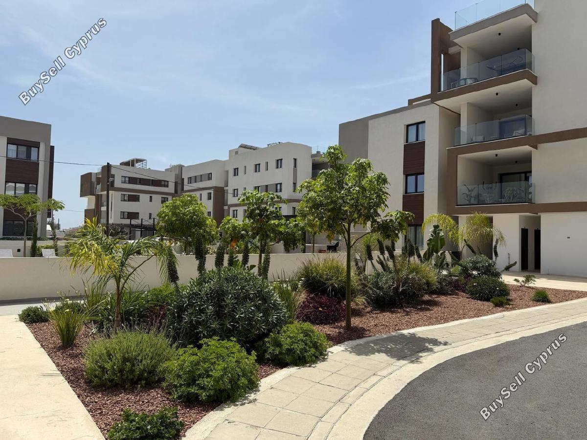 3 bedroom apartment for sale livadia larnacas larnaca 8696959 image 16194632