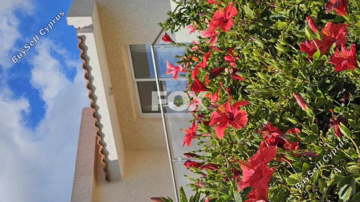 3 bedroom detached house for sale peyia paphos 8879959 image 17256343