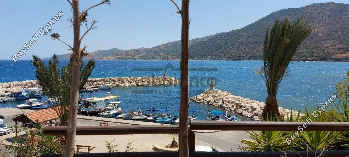 4 bedroom detached house for sale pomos paphos 8744959 image 16427655