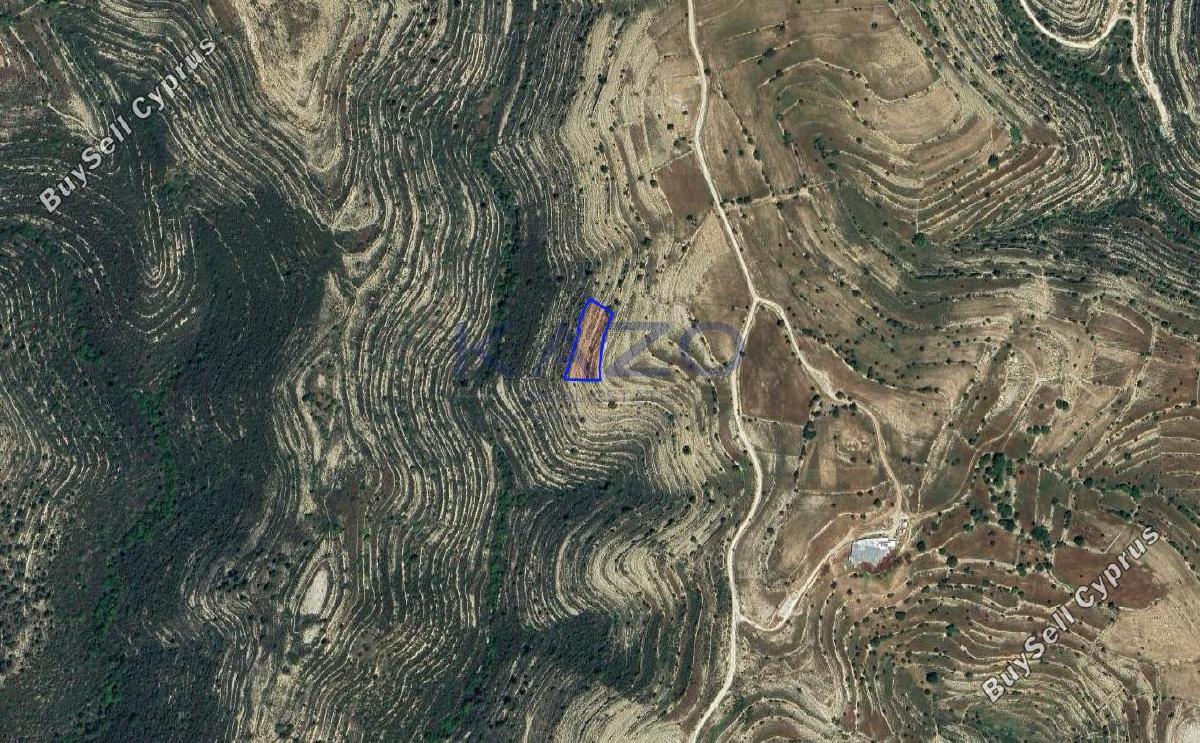 land for sale lofou limassol 8381959 image 15880849