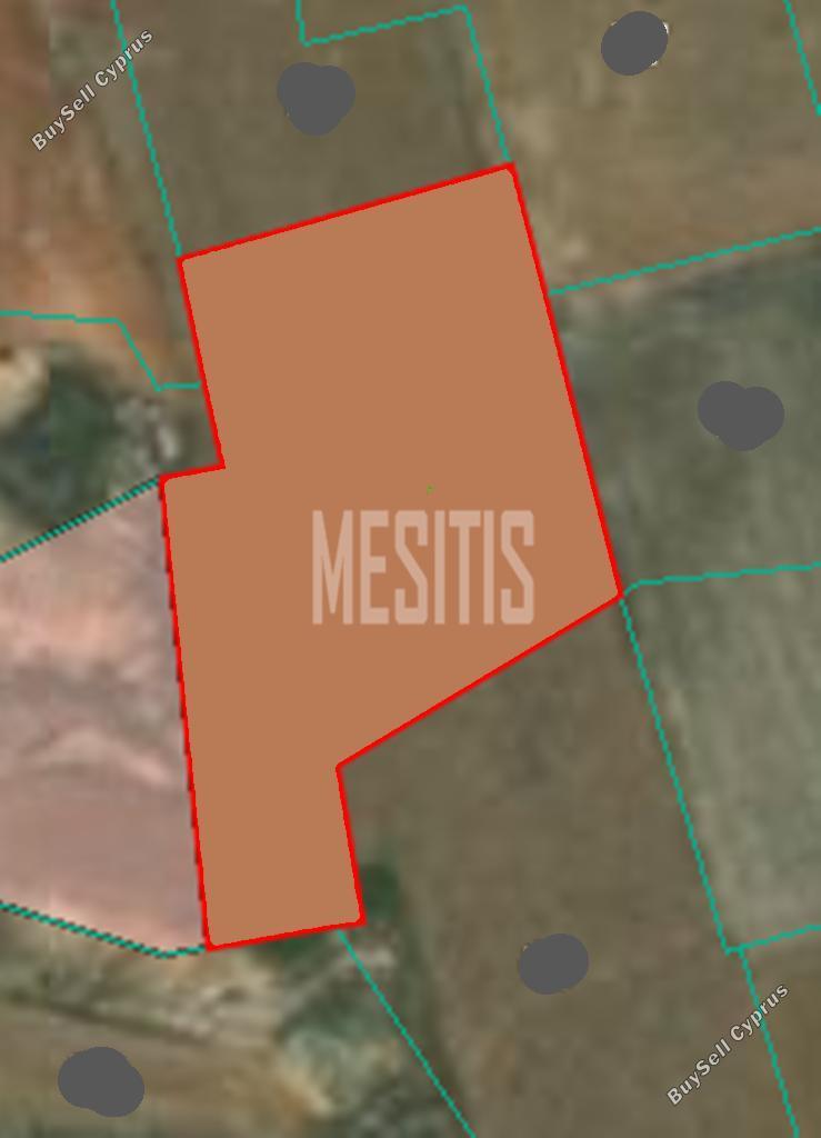 land for sale palaiometocho nicosia 974959 image 11038071