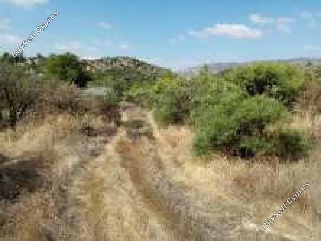 land for sale dora limassol 7806069 image 15596381