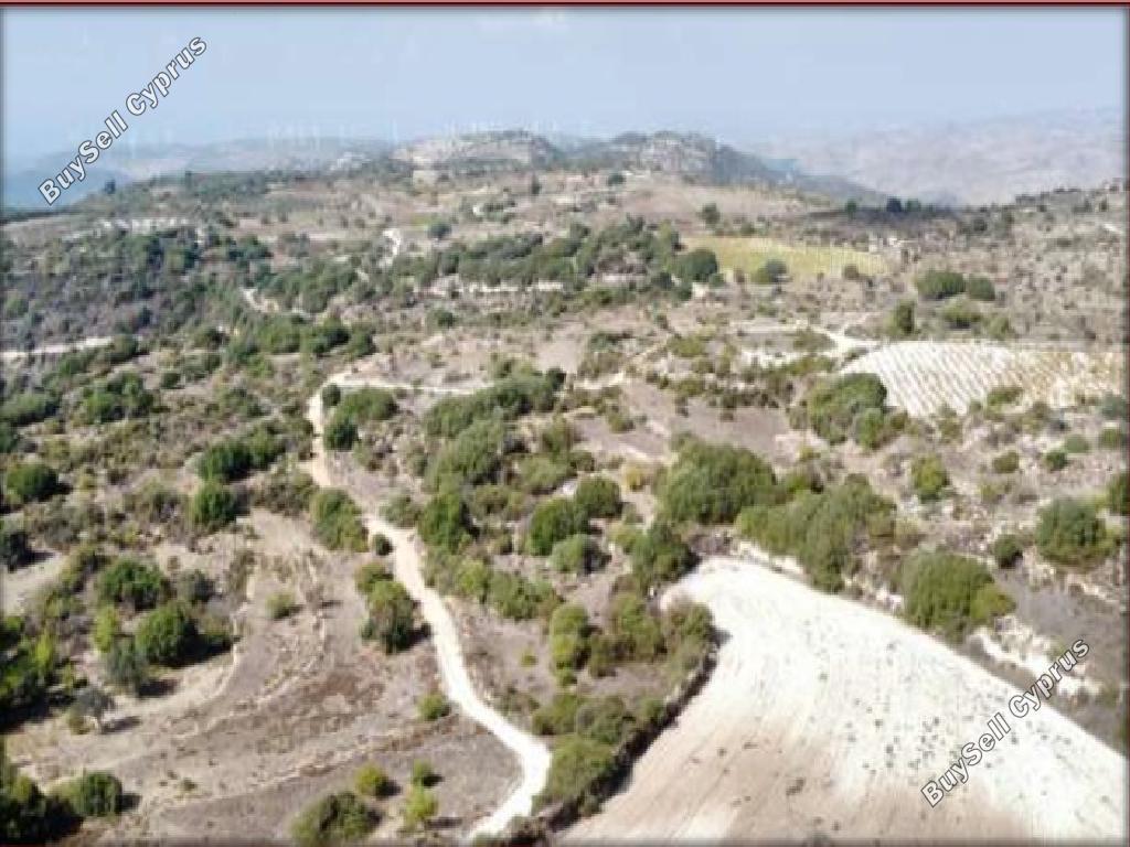land for sale dora limassol 7806069 image 15596383