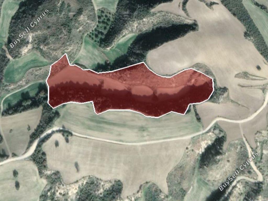 land for sale steni paphos 823069 image 15600125