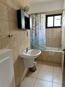 studio commercial building for sale tombs of the kings paphos 1910069 image 10052007