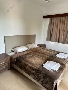 studio commercial building for sale tombs of the kings paphos 1910069 image 10052009