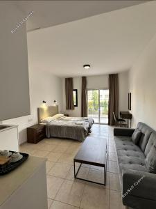 studio commercial building for sale tombs of the kings paphos 1910069 image 10052012