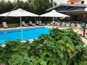 studio commercial building for sale tombs of the kings paphos 1910069 image 10052018