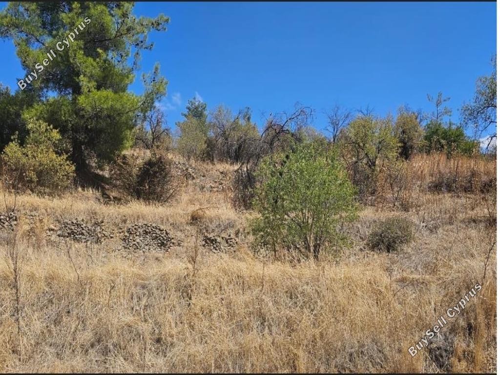 land for sale gourri nicosia 7495169 image 9319120