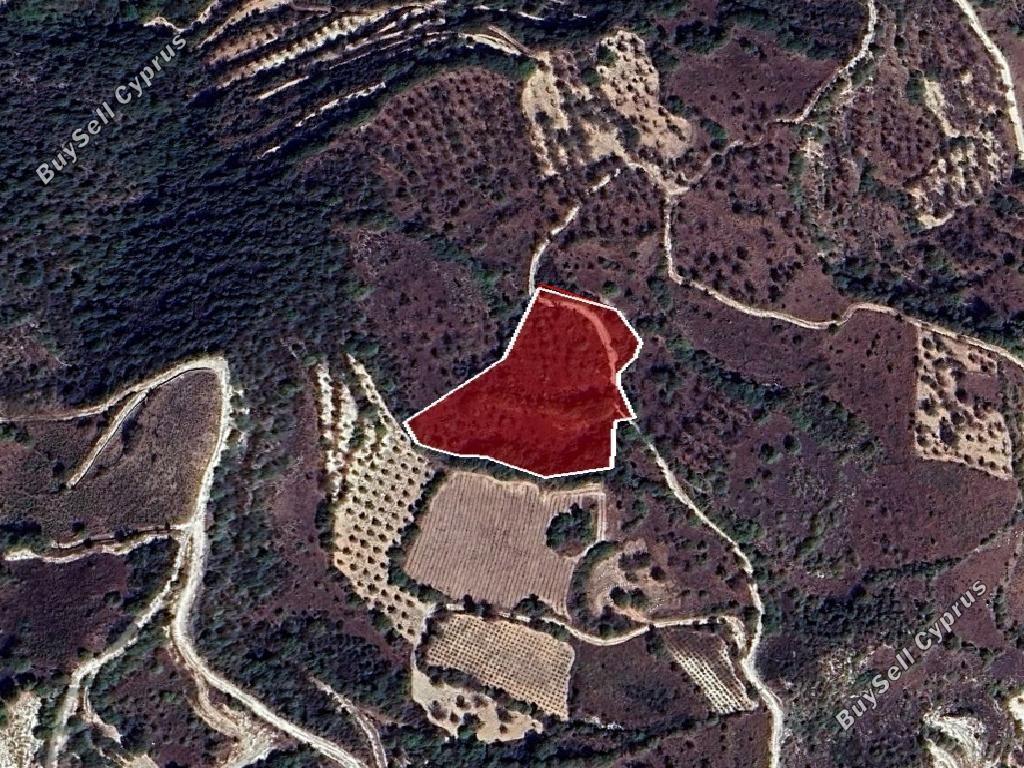 land for sale theletra paphos 8532169 image 16306335