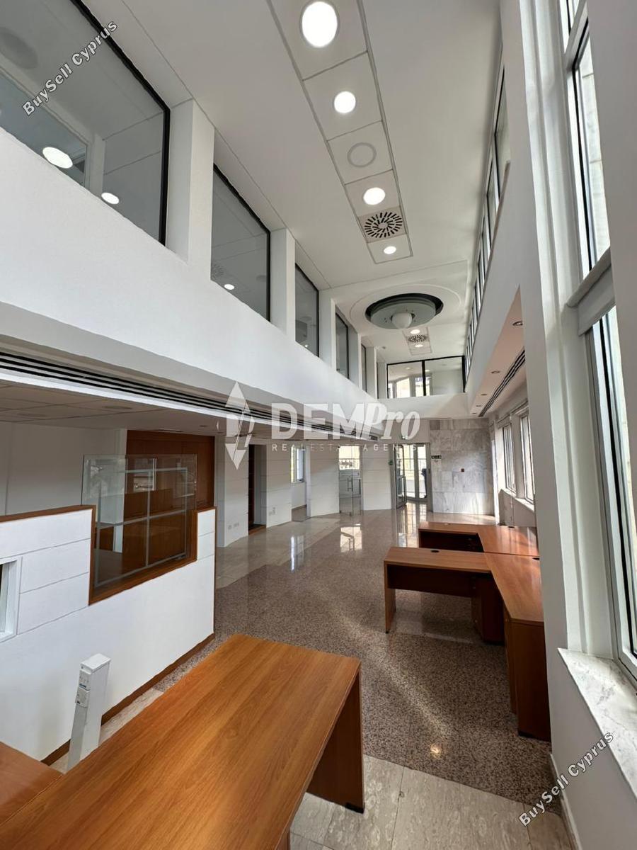 studio building for rent paphos municipality paphos 7812169 image 12688002