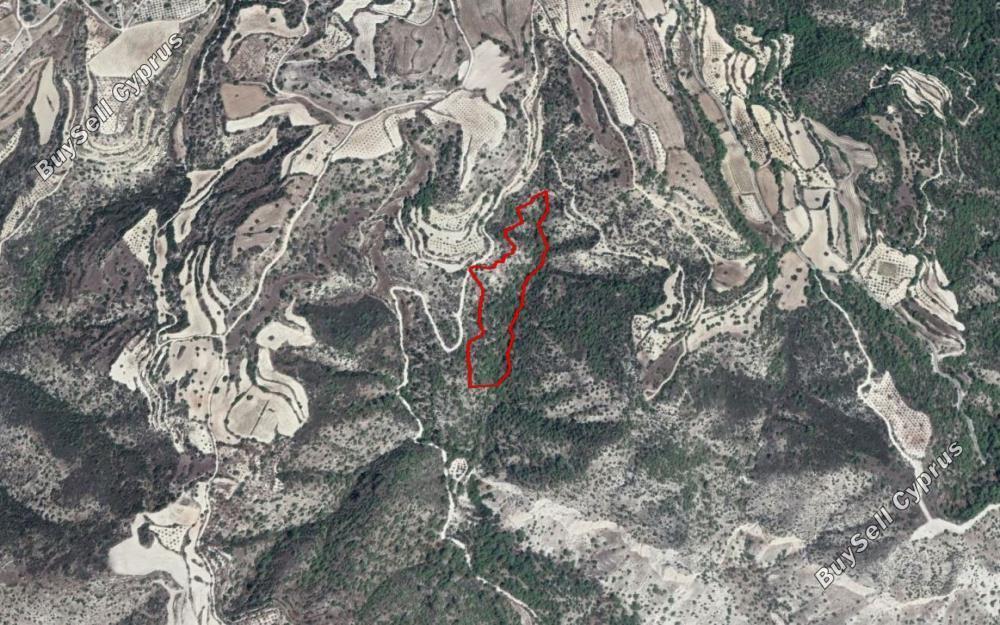 29767 SQM Land for sale in Amargeti, Paphos 15178949