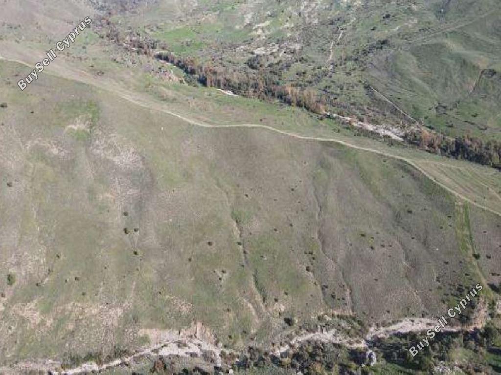 10035 SQM Land for sale in Kilinia, Paphos 15596406
