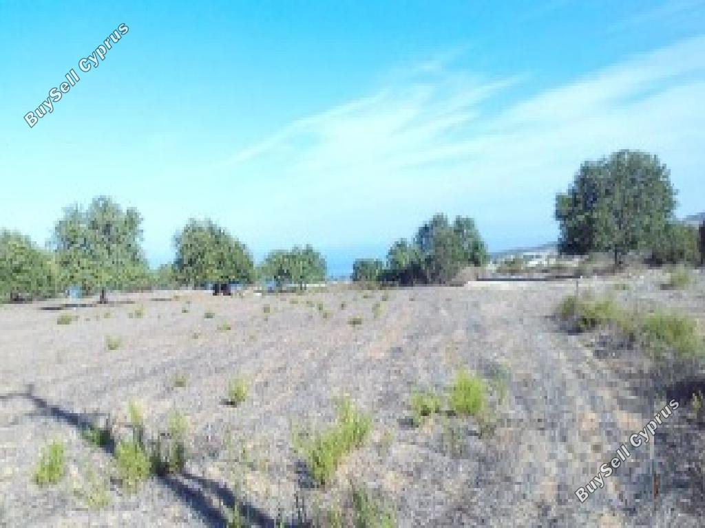 land for sale kritou tera paphos 7839369 image 15596574