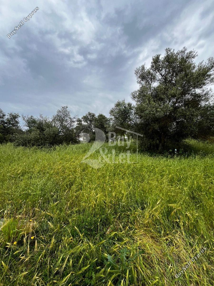 plot for sale kornos larnaca 8571469 image 15770760