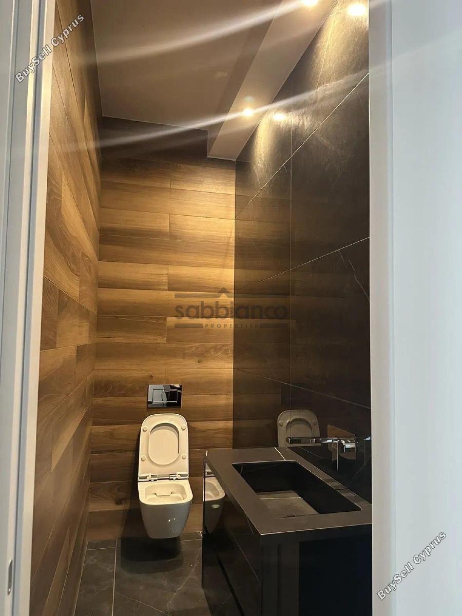 2 bedroom apartment for rent dasoupoli nicosia 8749569 image 16476937