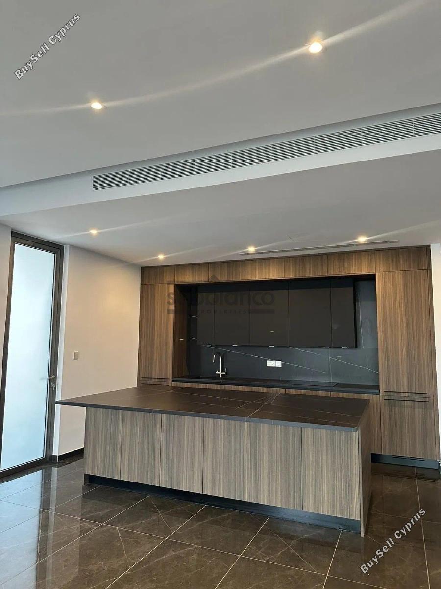 2 bedroom apartment for rent dasoupoli nicosia 8749569 image 16476947