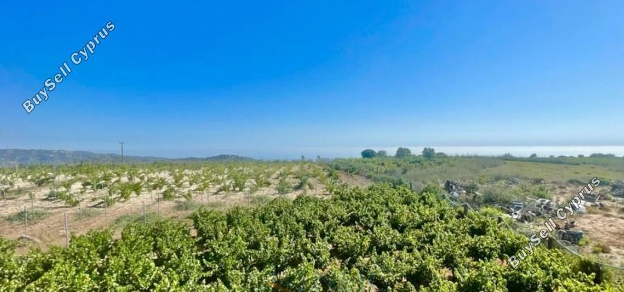4 bedroom detached house for sale kathikas paphos 7738569 image 10204148