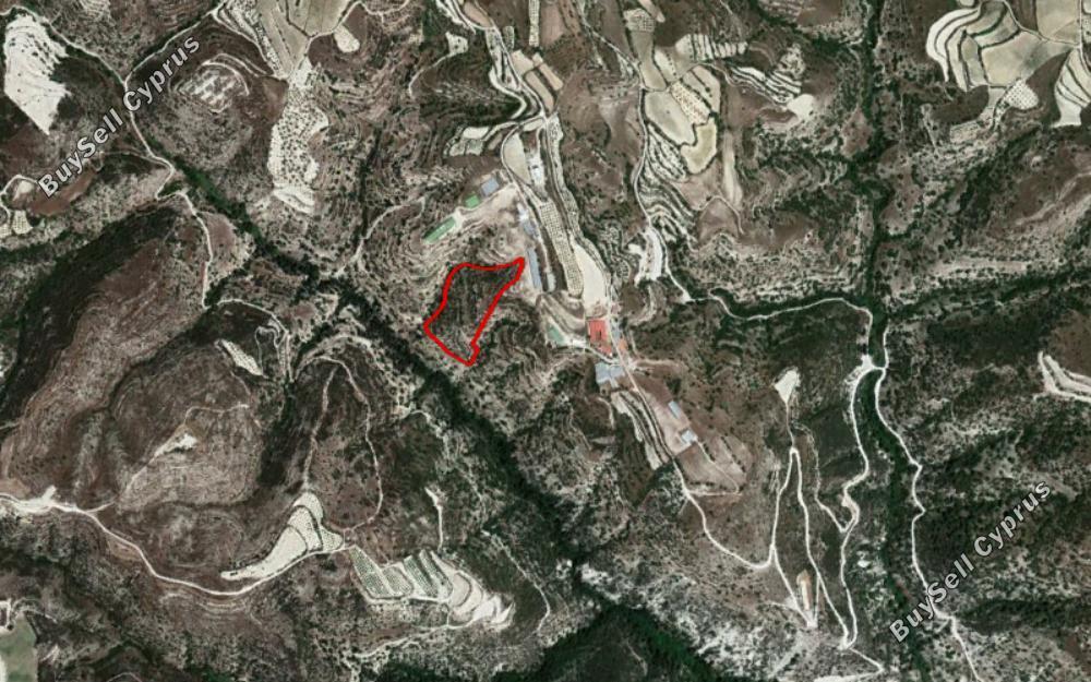 land for sale kallepeia paphos 828569 image 15177717
