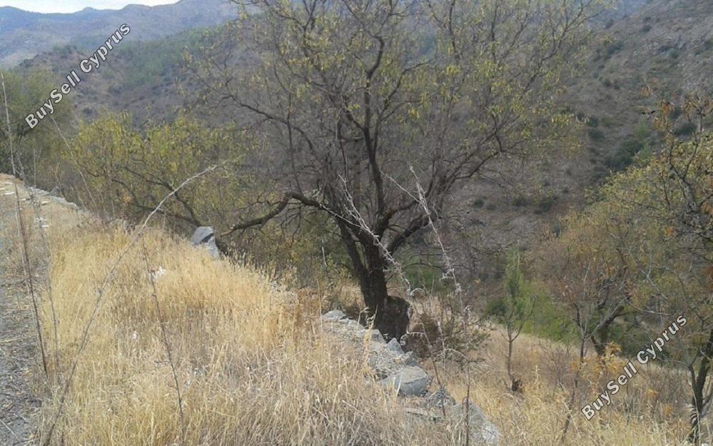 land for sale palaichori oreinis nicosia 829569 image 2826064