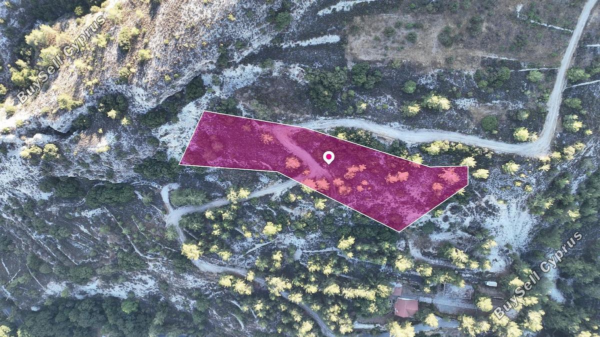 land for sale pera pedi limassol 1237569 image 15020322