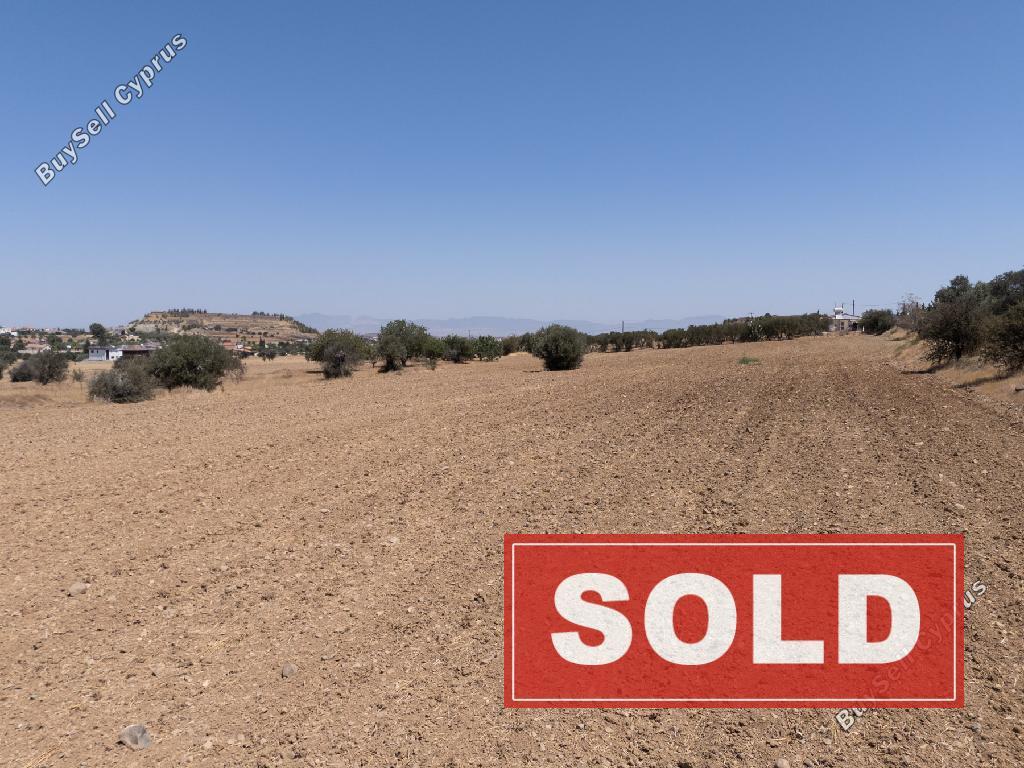 land sold pera orinis nicosia 7908569 image 11145733