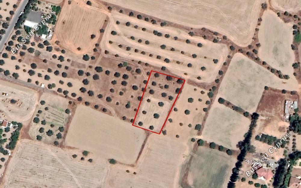 land for sale dali nicosia 829669 image 15664062