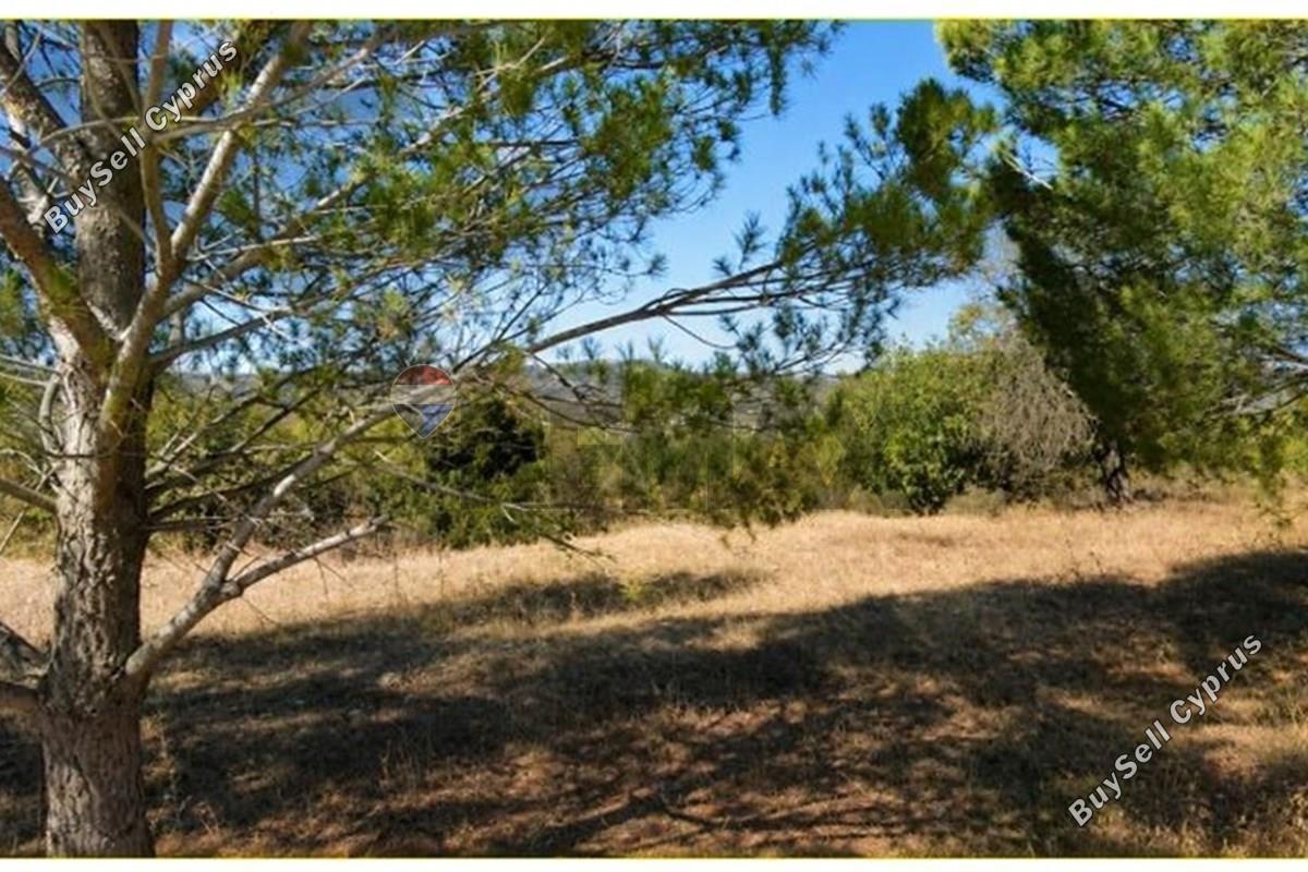 land for sale doros limassol 8966669 image 17842569